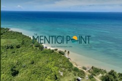 The Mentigi Point by Duros Land - Daanbantayan